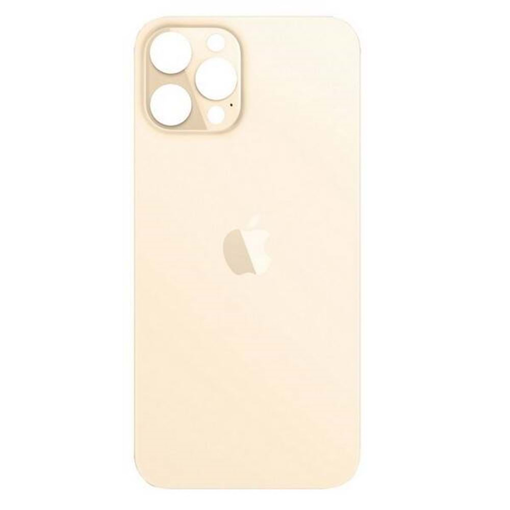 İphone 12 Pro Arka Kapak Gold