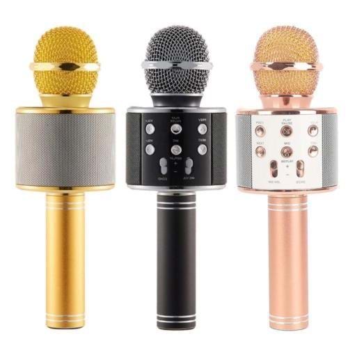 Polygold Karaoke Mikrofon Pg-112