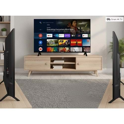 Telefunken 55TU9080 4K Ultra HD 55